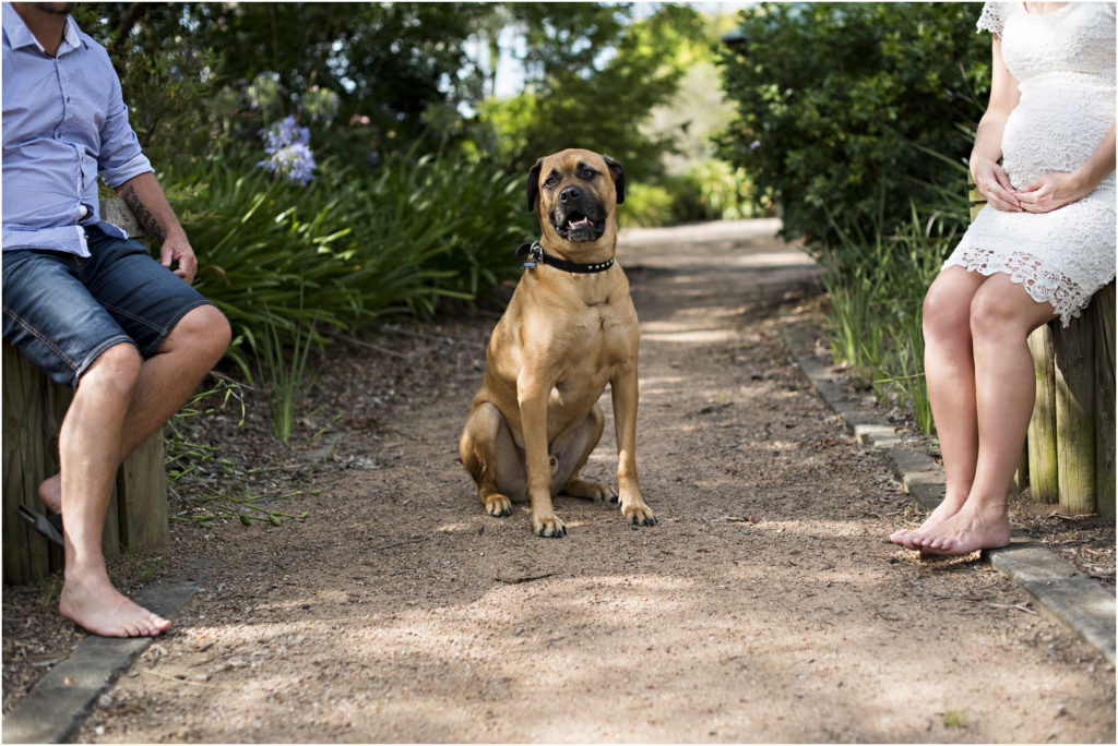 Baby Bump Photography, Camden maternity Photography, Camden Newborn Photography, Angie Duncan Photography, www.angieduncan.com.au